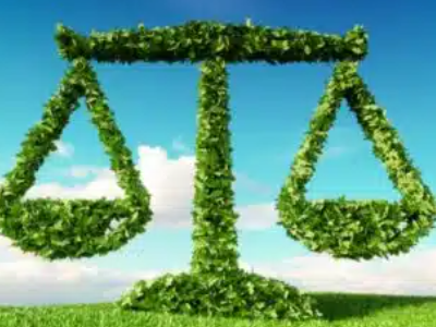 È reato predisporre reti per catturare uccelli, anche senza cattura effettiva