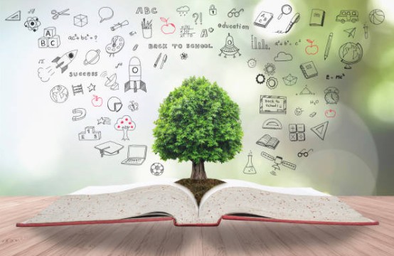 Caratteristiche del giudizio di non ammissione e rapporto con il Piano Didattico Personalizzato (PDP): chiarimenti del TAR Piemonte