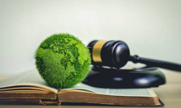 Atto di acquisizione al patrimonio comunale: quando è impugnabile secondo il Consiglio di Stato